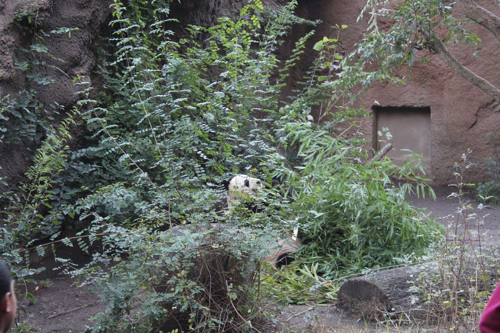 San Diego Zoo Part II 179